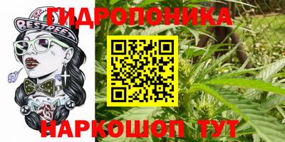 мяу мяу мука Кулебаки